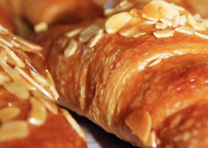 Affittacamere Eletta